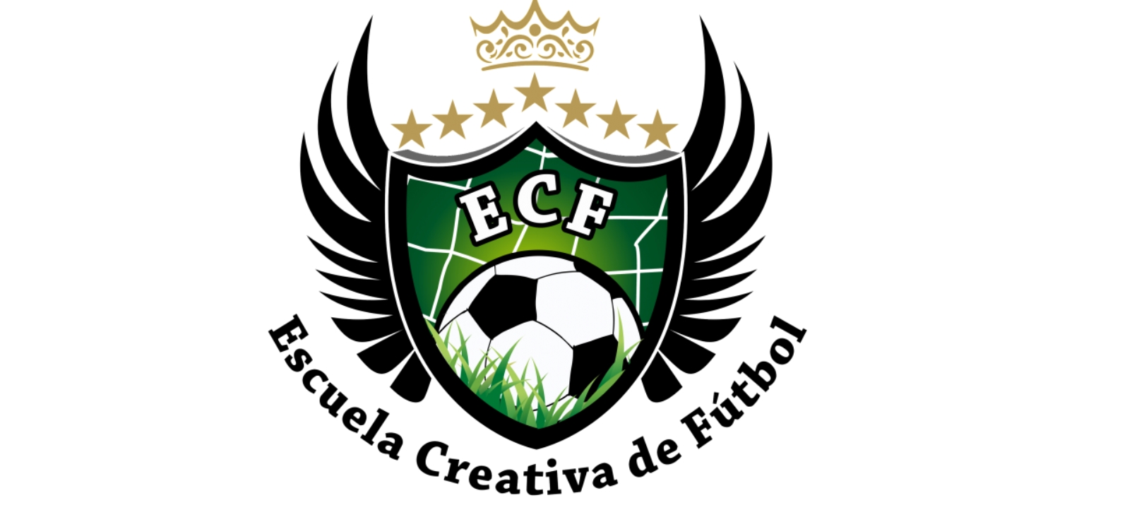 Futbol Infantil Las Palmas: Forjando los Campeones del Mañana El Futuro Brillante del Futbol Infantil 